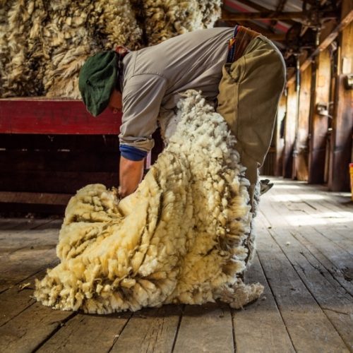 Wool Scouring